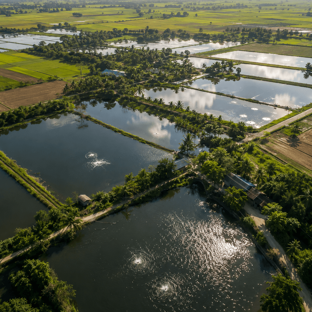 AGRICULTURE & AQUACULTURE SOLUTIONS